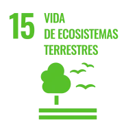 vida-de-ecosistemas-terrestres