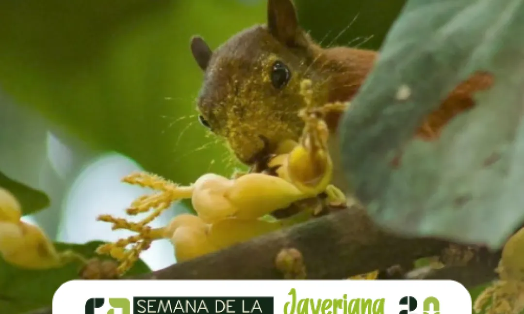 Javeriana Biodiversa 2025